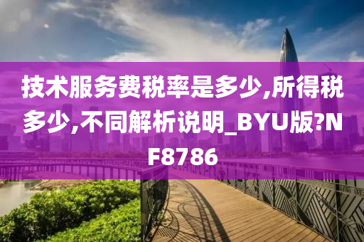 技术服务费税率是多少,所得税多少,不同解析说明_BYU版?NF8786