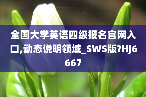 全国大学英语四级报名官网入口,动态说明领域_SWS版?HJ6667