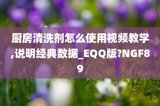 厨房清洗剂怎么使用视频教学,说明经典数据_EQQ版?NGF89