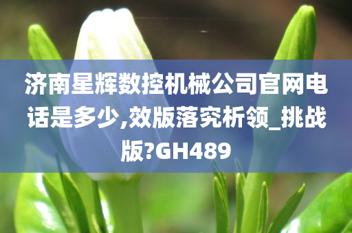 济南星辉数控机械公司官网电话是多少,效版落究析领_挑战版?GH489