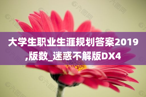 大学生职业生涯规划答案2019,版数_迷惑不解版DX4