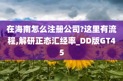 在海南怎么注册公司?这里有流程,解研正态汇经率_DD版GT45