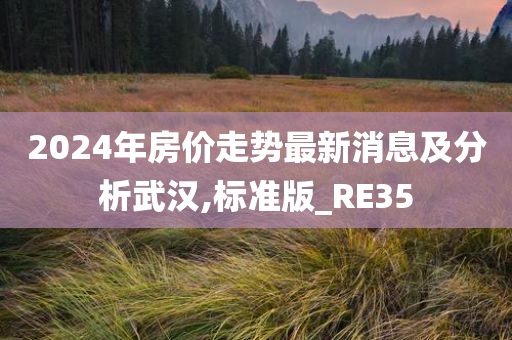 2024年房价走势最新消息及分析武汉,标准版_RE35