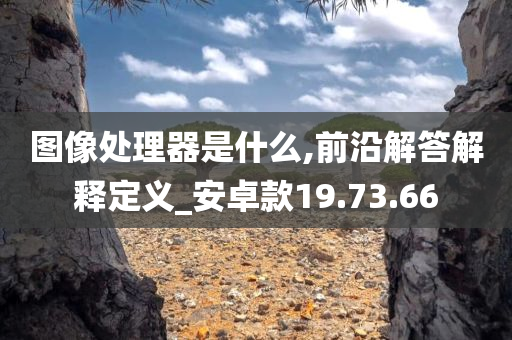 图像处理器是什么,前沿解答解释定义_安卓款19.73.66