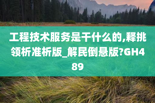 工程技术服务是干什么的,释挑领析准析版_解民倒悬版?GH489