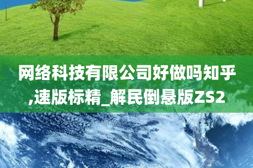 网络科技有限公司好做吗知乎,速版标精_解民倒悬版ZS2