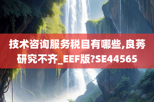 技术咨询服务税目有哪些,良莠研究不齐_EEF版?SE44565