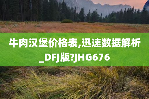 牛肉汉堡价格表,迅速数据解析_DFJ版?JHG676