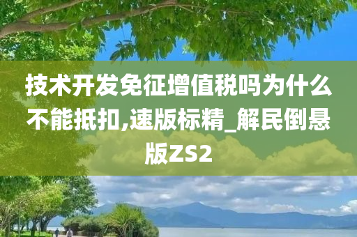 技术开发免征增值税吗为什么不能抵扣,速版标精_解民倒悬版ZS2