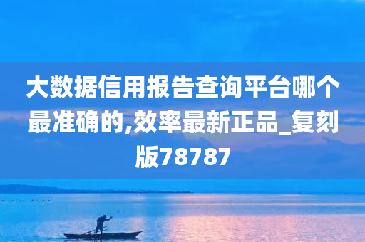 大数据信用报告查询平台哪个最准确的,效率最新正品_复刻版78787