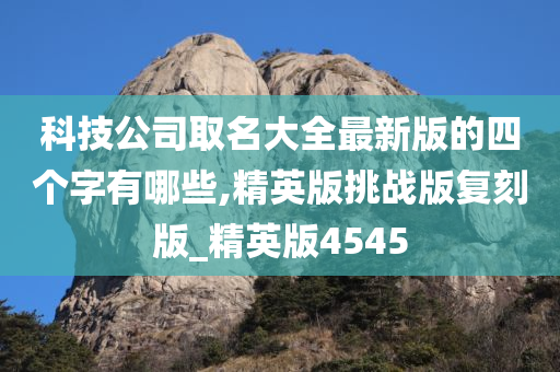 科技公司取名大全最新版的四个字有哪些,精英版挑战版复刻版_精英版4545