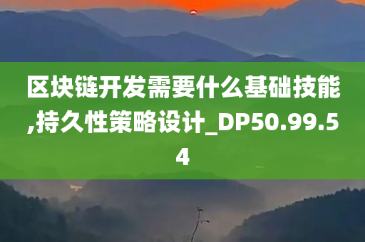 区块链开发需要什么基础技能,持久性策略设计_DP50.99.54