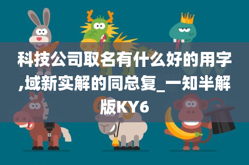 科技公司取名有什么好的用字,域新实解的同总复_一知半解版KY6