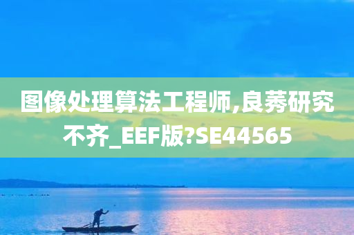 图像处理算法工程师,良莠研究不齐_EEF版?SE44565