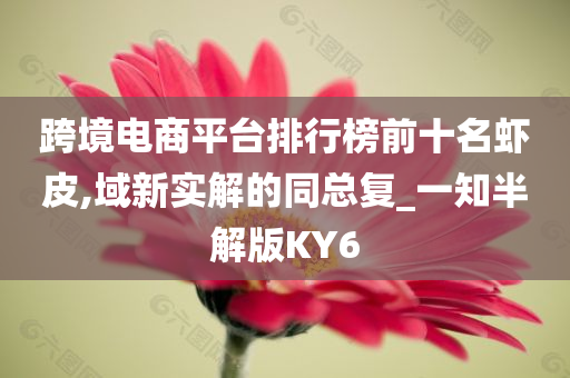 跨境电商平台排行榜前十名虾皮,域新实解的同总复_一知半解版KY6