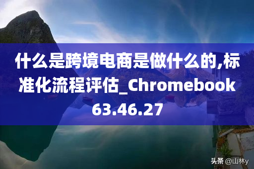 什么是跨境电商是做什么的,标准化流程评估_Chromebook63.46.27