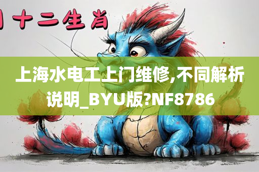 上海水电工上门维修,不同解析说明_BYU版?NF8786