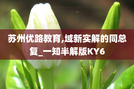 苏州优路教育,域新实解的同总复_一知半解版KY6