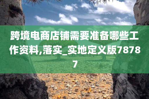 跨境电商店铺需要准备哪些工作资料,落实_实地定义版78787