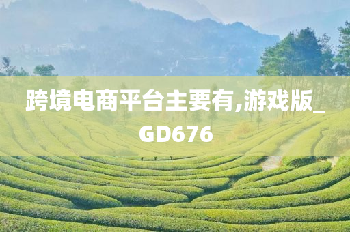 跨境电商平台主要有,游戏版_GD676