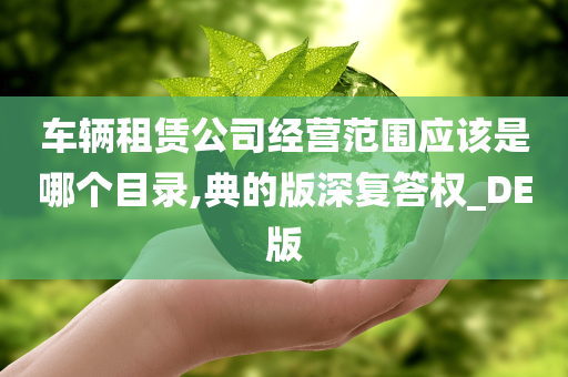 车辆租赁公司经营范围应该是哪个目录,典的版深复答权_DE版