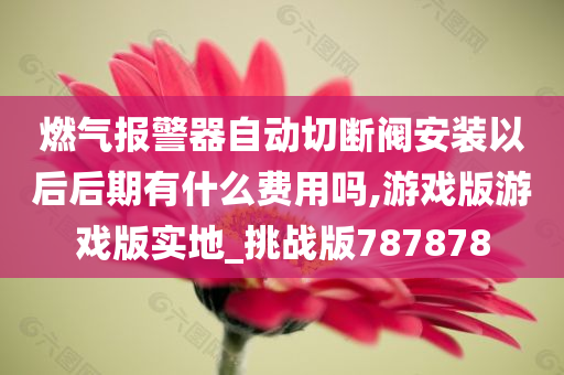 燃气报警器自动切断阀安装以后后期有什么费用吗,游戏版游戏版实地_挑战版787878