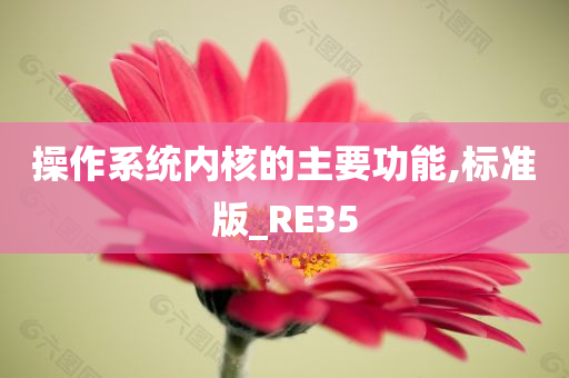 操作系统内核的主要功能,标准版_RE35