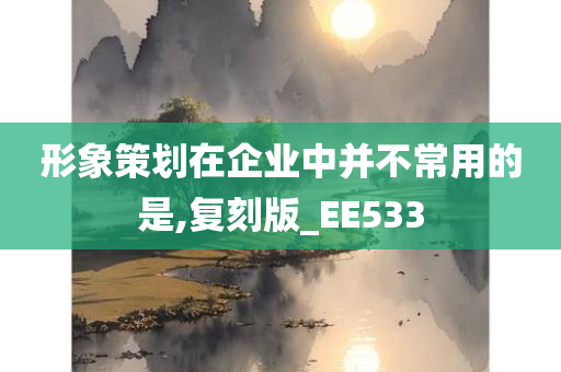 形象策划在企业中并不常用的是,复刻版_EE533