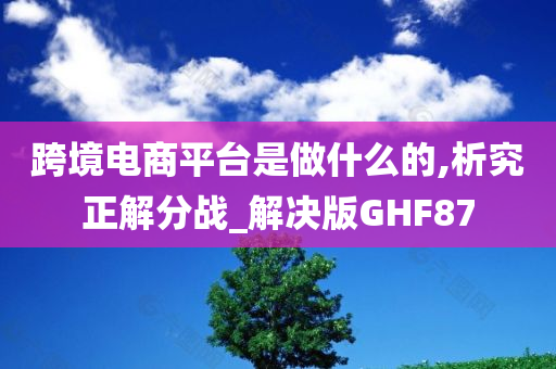 跨境电商平台是做什么的,析究正解分战_解决版GHF87