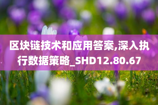 区块链技术和应用答案,深入执行数据策略_SHD12.80.67