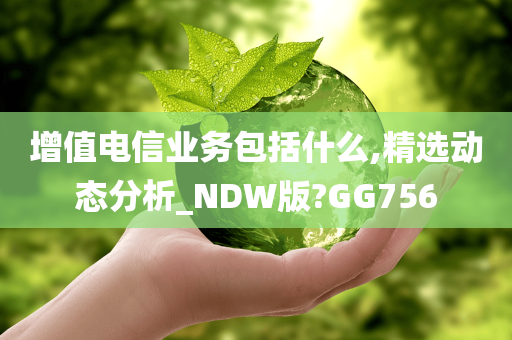 增值电信业务包括什么,精选动态分析_NDW版?GG756