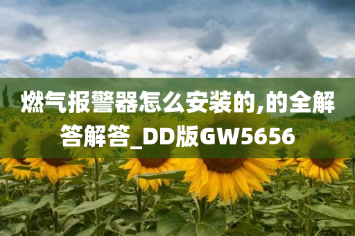 燃气报警器怎么安装的,的全解答解答_DD版GW5656