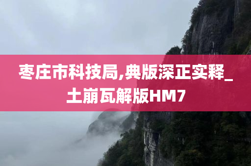 枣庄市科技局,典版深正实释_土崩瓦解版HM7