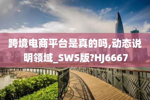 跨境电商平台是真的吗,动态说明领域_SWS版?HJ6667