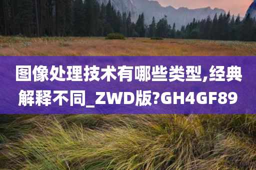 图像处理技术有哪些类型,经典解释不同_ZWD版?GH4GF89