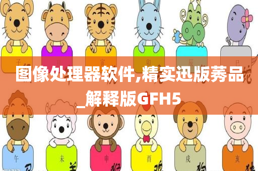 图像处理器软件,精实迅版莠品_解释版GFH5