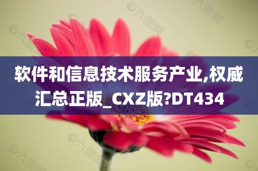 软件和信息技术服务产业,权威汇总正版_CXZ版?DT434