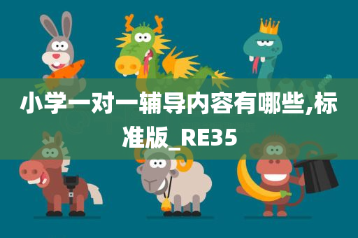 小学一对一辅导内容有哪些,标准版_RE35