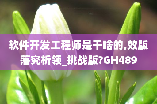 软件开发工程师是干啥的,效版落究析领_挑战版?GH489