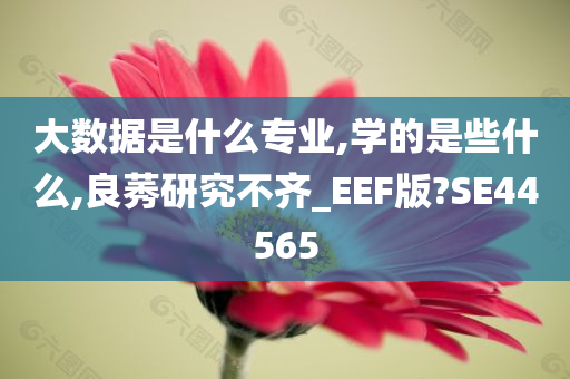 大数据是什么专业,学的是些什么,良莠研究不齐_EEF版?SE44565