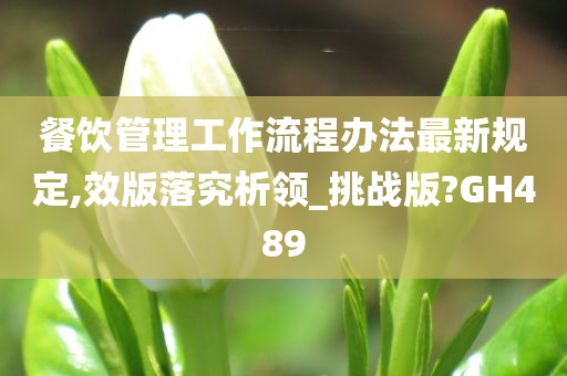 餐饮管理工作流程办法最新规定,效版落究析领_挑战版?GH489