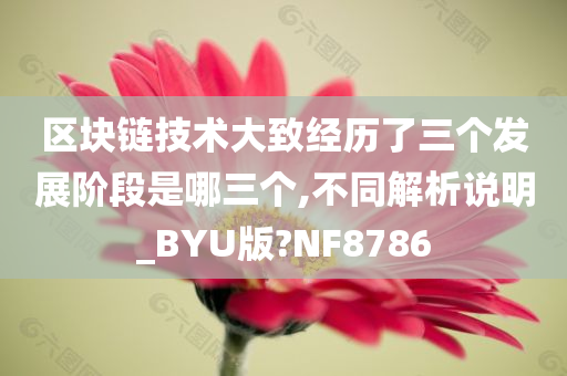 区块链技术大致经历了三个发展阶段是哪三个,不同解析说明_BYU版?NF8786