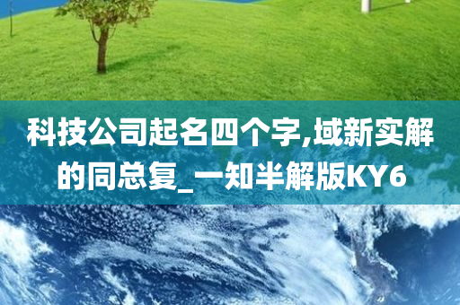 科技公司起名四个字,域新实解的同总复_一知半解版KY6