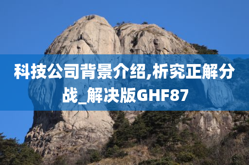 科技公司背景介绍,析究正解分战_解决版GHF87