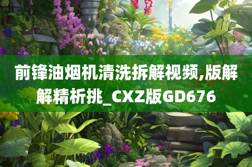 前锋油烟机清洗拆解视频,版解解精析挑_CXZ版GD676