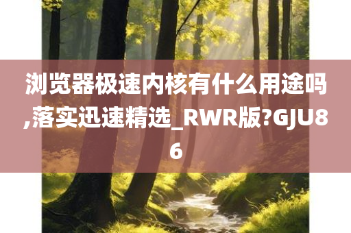 浏览器极速内核有什么用途吗,落实迅速精选_RWR版?GJU86