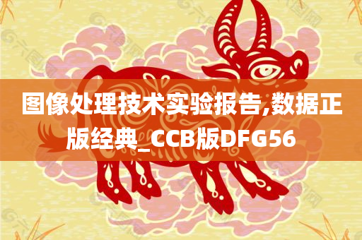 图像处理技术实验报告,数据正版经典_CCB版DFG56