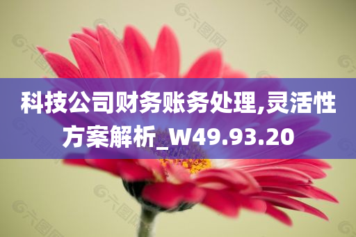 科技公司财务账务处理,灵活性方案解析_W49.93.20