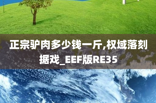 正宗驴肉多少钱一斤,权域落刻据戏_EEF版RE35