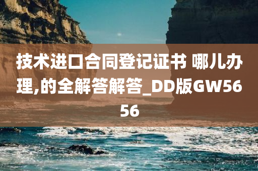 技术进口合同登记证书 哪儿办理,的全解答解答_DD版GW5656